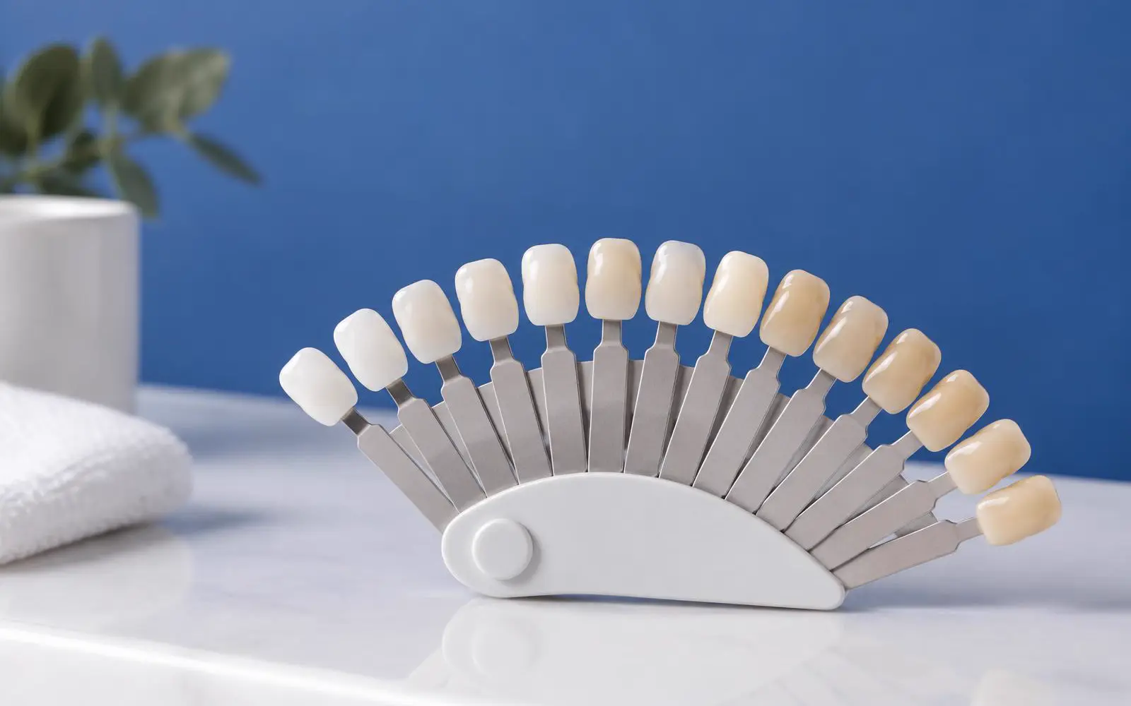 Tandkleurwaaier met porseleinen lipjes in tinten van wit tot ivoor, op een wit vlak voor een kobaltblauwe wand